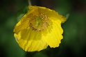 D31_0285 Kopie.jpg   26.04